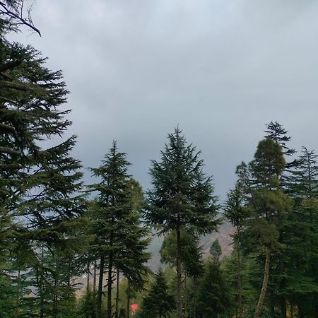 The Alpine Vista Hotel Almora Exterior photo