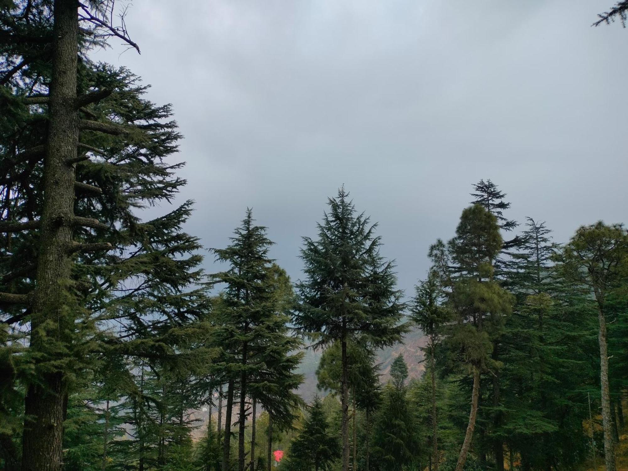 The Alpine Vista Hotel Almora Exterior photo